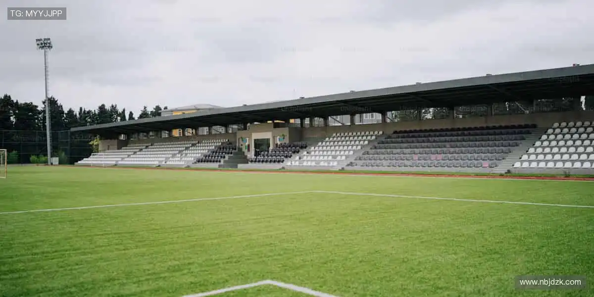 🎯专业装备，点燃你的运动激情！